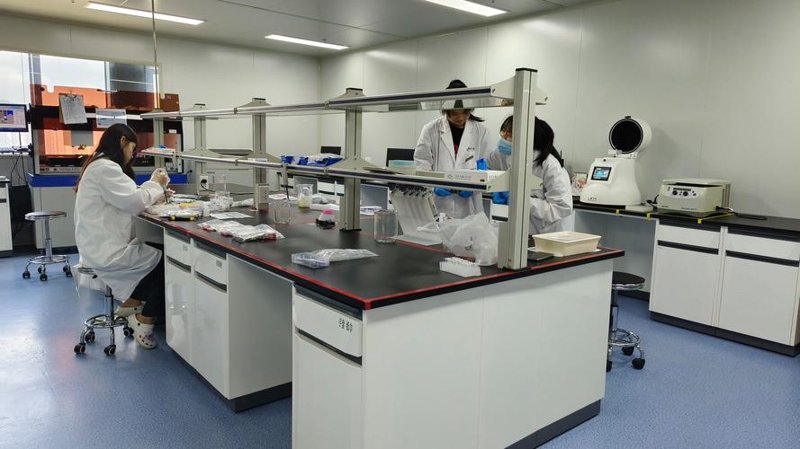 生物科技服务：引领未来医疗革命